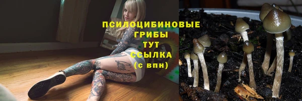 крисы Армянск